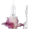 Бра LIGHTSTAR Anemone 714624