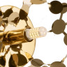 Бра LIGHTSTAR EXTRA 721632 1х5W(led) G9 золото