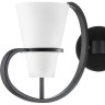 Бра LIGHTSTAR Fiacolla 733627