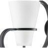 Бра LIGHTSTAR Fiacolla 733627