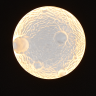 Бра LIGHTSTAR SNODO 810567