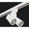 Комплект со светильником LIGHTSTAR Illumo Х2 A1T051036