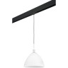 Комплект со светильником LIGHTSTAR PRO Agola PRO810030