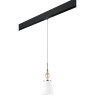 Комплект со светильником LIGHTSTAR PRO Escica PRO806010