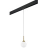 Комплект со светильником LIGHTSTAR PRO Globo PRO813012
