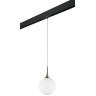 Комплект со светильником LIGHTSTAR PRO Globo PRO813031