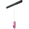 Комплект со светильником LIGHTSTAR PRO Rullo PRORP43232