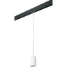 Комплект со светильником LIGHTSTAR PRO Rullo PRORP436