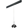 Комплект со светильником LIGHTSTAR PRO Rullo PRORP436437