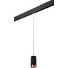 Комплект со светильником LIGHTSTAR PRO Rullo PRORP437430
