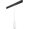 Комплект со светильником LIGHTSTAR PRO Rullo PRORP6596