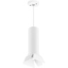 Комплект со светильником LIGHTSTAR Rullo RP496436