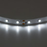 Лента белого свечения LIGHTSTAR 400004