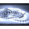 Лента белого свечения LIGHTSTAR 400014