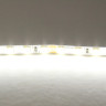Лента LIGHTSTAR 420505 LED 24V 12W 120leds/M 26-28 lm 5000K IP20 5м