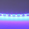 Лента LIGHTSTAR 420515 LED 24V 12W 120leds/M 26-28 lm blue IP20 5м