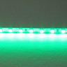Лента LIGHTSTAR 420514 LED 24V 12W 120leds/M 26-28 lm green IP20 5м
