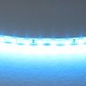 Лента LIGHTSTAR 420516 LED 24V 12W 120leds/M 26-28 lm ice blue IP2 5м