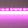 Лента LIGHTSTAR 420512 LED 24V 12W 120leds/M 26-28 lm pink IP20 5м
