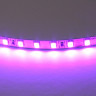Лента LIGHTSTAR 420518 LED 24V 12W 120leds/M 26-28 lm purple IP20 5м