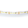 Лента LIGHTSTAR 421004 LED 24V 20W 180leds/M 26-28 lm 4000K IP20 5м