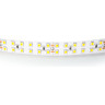 Лента LIGHTSTAR 421503 LED 24V 24W 240leds/M 26-28 lm 3000K IP20 5м