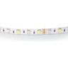 Лента LIGHTSTAR 421000 LED RGB+W 24V 14,4W 60leds/M 26-28 lm IP20 5м