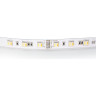 Лента LIGHTSTAR 421200 LED RGBCW 24V 14,4W 60leds/M 26-28 lm IP20 5м