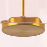Люстра LIGHTSTAR CELESTA LED 809062 1х12W 3000K золото/розовый