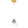 Люстра LIGHTSTAR COLORE 805118 LED 1х4W LM 3000K золото/дымчатый