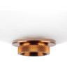 Люстра LIGHTSTAR COLORE 805402 LED 1х6W LM 3000K золото/красный