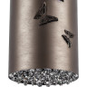 Люстра LIGHTSTAR FARAONE 701101 10W LED LM 3000K бронза