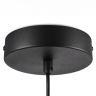 Люстра LIGHTSTAR PALERMO 612117 8W LED 350LM G 3000K черный/прозрачный