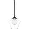 Люстра LIGHTSTAR VETRO 801201 1х6W G9 черный прозрачный