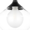 Люстра LIGHTSTAR VETRO 801202 1х6W G9 черный прозрачный