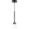 Люстра LIGHTSTAR VETRO 801202 1х6W G9 черный прозрачный