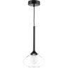 Люстра LIGHTSTAR VETRO 801203 1х6W G9 черный прозрачный