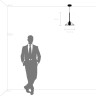 Люстра LIGHTSTAR VETRO 801204 1х6W G9 черный прозрачный