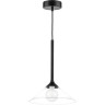 Люстра LIGHTSTAR VETRO 801204 1х6W G9 черный прозрачный