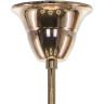 Люстра подвесная LIGHTSTAR Artifici 719108