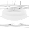 Люстра подвесная LIGHTSTAR Ovale 784346