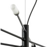 Люстра подвесная LIGHTSTAR Ragno 733187