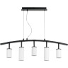 Люстра подвесная LIGHTSTAR Rullo LR735363862