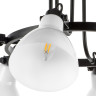 Люстра потолочная LIGHTSTAR Acrobata 761060