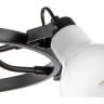 Люстра потолочная LIGHTSTAR Acrobata 761060