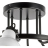 Люстра потолочная LIGHTSTAR Acrobata 761060