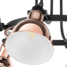 Люстра потолочная LIGHTSTAR Acrobata 761063
