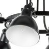 Люстра потолочная LIGHTSTAR Acrobata 761067