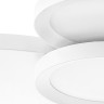Люстра потолочная LIGHTSTAR Breve 749082