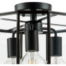 Люстра потолочная LIGHTSTAR GENNI 798237